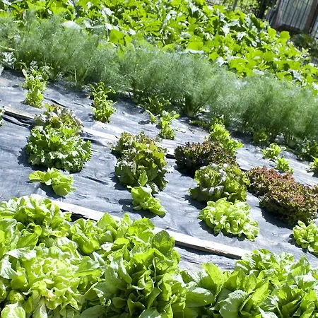 호텔 Filey Antey-Saint-André