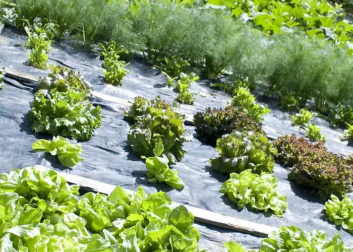 Otel Filey Antey-Saint-André